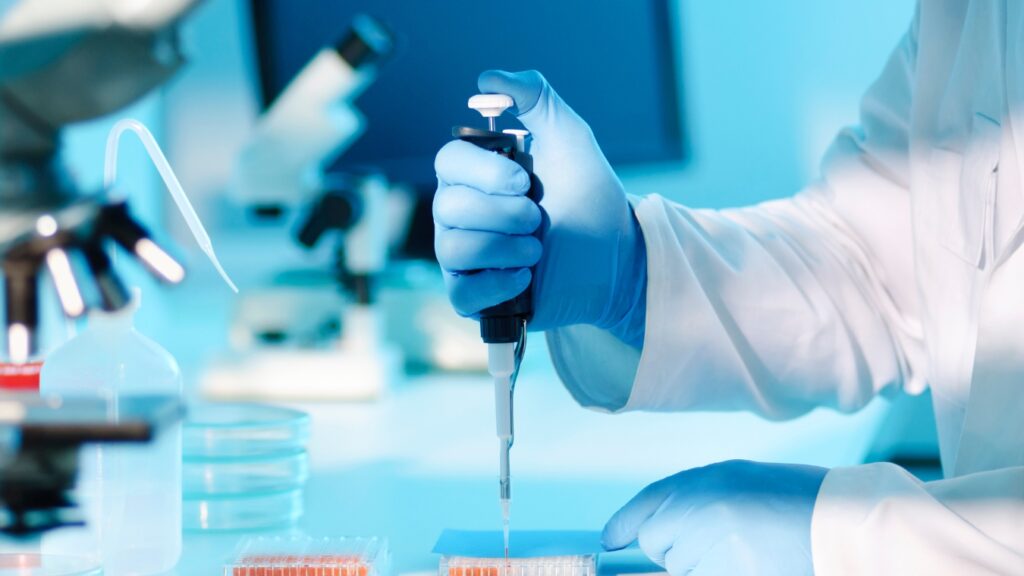 Scientist using a pipette in a lab, researching Anti Venom with sheep blood.