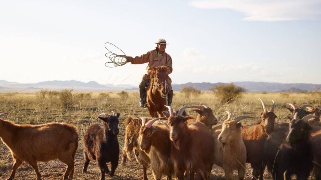 historical role of goats