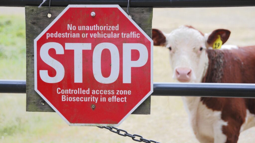 Biosecurity Plan Stop Sign on a Fence Against the Cow